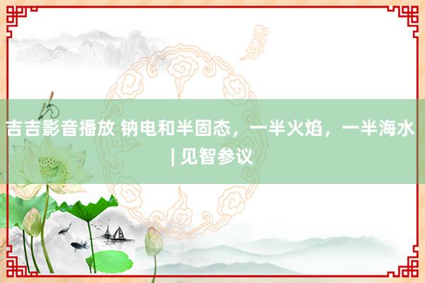 吉吉影音播放 钠电和半固态，一半火焰，一半海水 | 见智参议