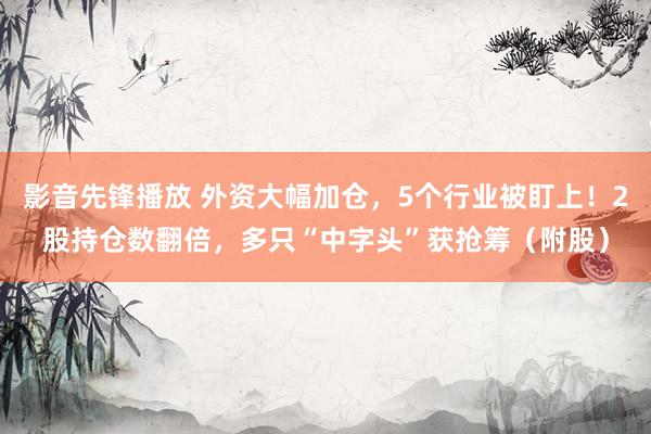 影音先锋播放 外资大幅加仓，5个行业被盯上！2股持仓数翻倍，多只“中字头”获抢筹（附股）