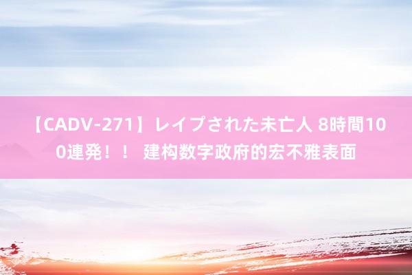 【CADV-271】レイプされた未亡人 8時間100連発！！ 建构数字政府的宏不雅表面