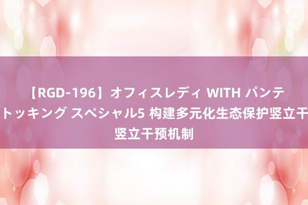 【RGD-196】オフィスレディ WITH パンティーストッキング スペシャル5 构建多元化生态保护竖立干预机制