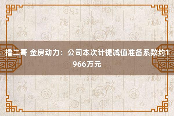 撸二哥 金房动力：公司本次计提减值准备系数约1966万元