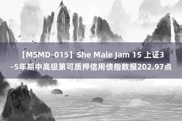 【MSMD-015】She Male Jam 15 上证3-5年期中高级第可质押信用债指数报202.97点