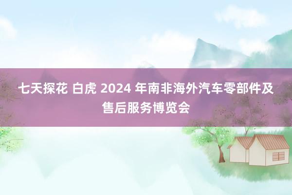 七天探花 白虎 2024 年南非海外汽车零部件及售后服务博览会