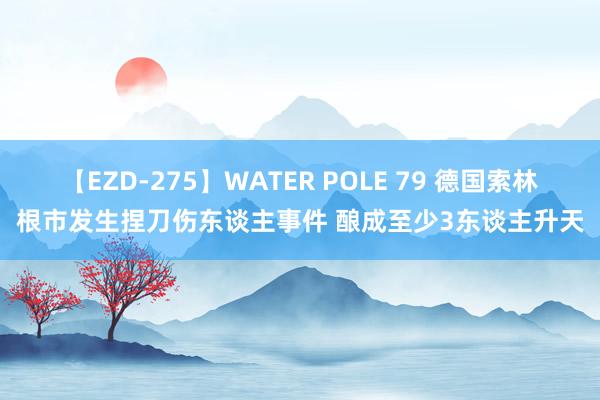 【EZD-275】WATER POLE 79 德国索林根市发生捏刀伤东谈主事件 酿成至少3东谈主升天