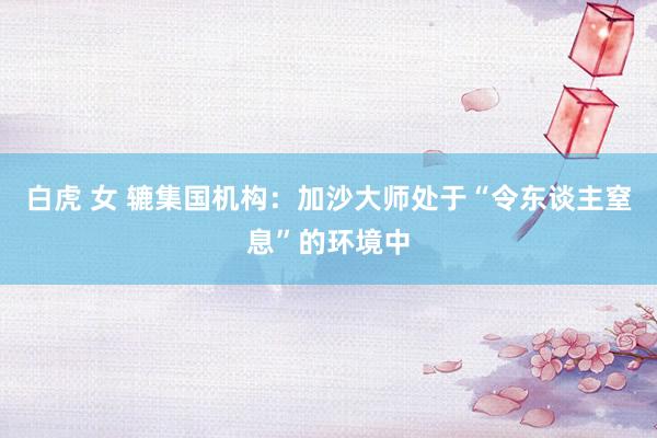 白虎 女 辘集国机构：加沙大师处于“令东谈主窒息”的环境中