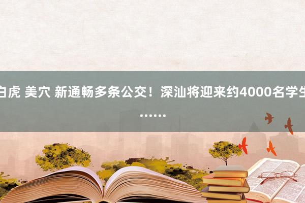 白虎 美穴 新通畅多条公交！深汕将迎来约4000名学生......