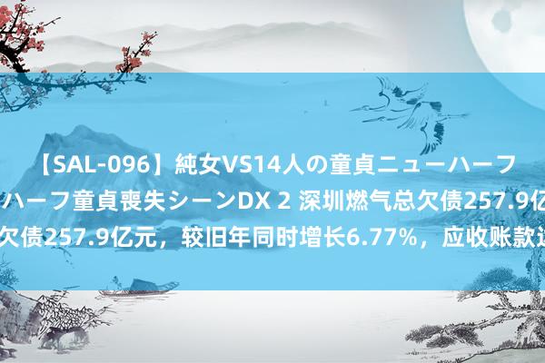【SAL-096】純女VS14人の童貞ニューハーフ 二度と見れないニューハーフ童貞喪失シーンDX 2 深圳燃气总欠债257.9亿元，较旧年同时增长6.77%，应收账款达33.82亿元