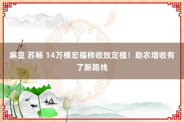 麻豆 苏畅 14万棵宏福柿收效定植！助农增收有了新路线