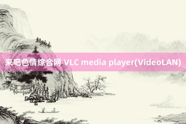 来吧色情综合网 VLC media player(VideoLAN)